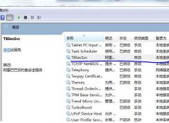Win7系統(tǒng)中tbsecsvc是什么進(jìn)程？tbsecsvc.exe占用CPU高的刪除方法