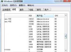 local driver service是什么進程Win7旗艦版