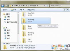 assembly是什么文件夾？可以刪除嗎？