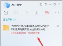 迅雷【任務包含違規(guī)內容,無法繼續(xù)下載】三個解決方法