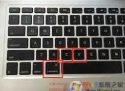 MAC復(fù)制粘貼快捷鍵|蘋果電腦實現(xiàn)CTRL+C|CTRL+V復(fù)制粘貼
