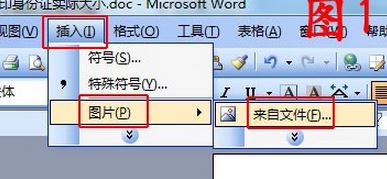 怎么把身份證掃描到一張紙上？身份證正反面在同一張紙上打印的方法