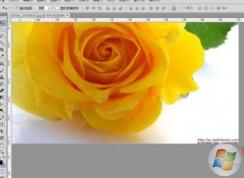 如何去水?。啃【幗棠阌肞hotoShop去除圖片水印
