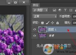 圖層蒙版怎么用？小編教你圖層蒙版使用方法