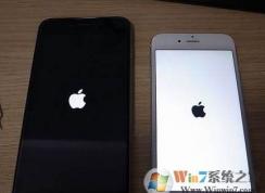 為什么有的iphone開機(jī)是黑蘋果？白蘋果和黑蘋果有什么區(qū)別