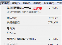 Filezilla怎么用？Filezilla使用教程