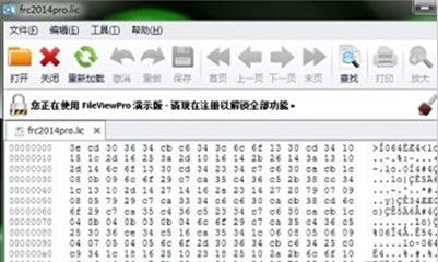 lic文件怎么打開？lic格式文件打開亂碼的解決方法