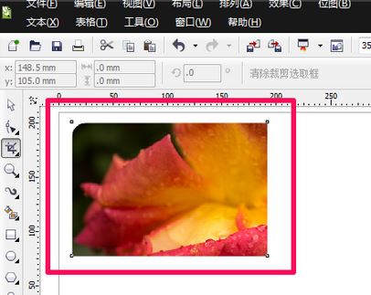 cdr裁剪工具怎么用？cdr軟件中裁剪工具使用方法