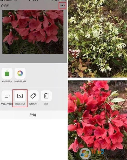 手機(jī)怎么截長圖？教你蘋果手機(jī)截長圖操作方法