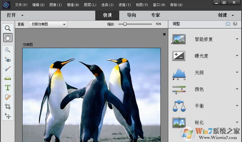 Adobe Photoshop Elements 2019綠色精簡版（無需激活免費(fèi)用）