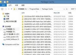 Package Cache是什么文件夾,可以刪除嗎？