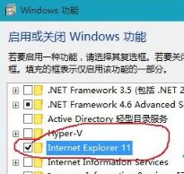 win10系統(tǒng)網(wǎng)頁圖片加載不出來該怎么辦？網(wǎng)頁圖片不顯示的解決方法