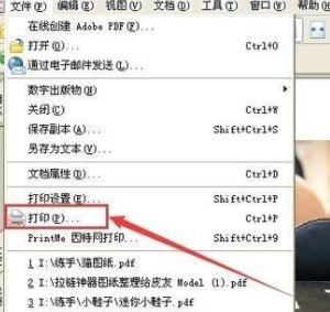 PDF格式怎么打??？pdf文件快速打印的操作方法