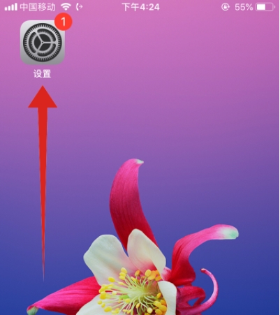 蘋果iPhone11手機怎么用siri？iphone11設(shè)置按鈕打開siri