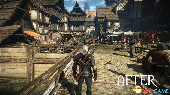 巫師3：狂獵 v1.31真實老舊木頭貼圖紋理MOD