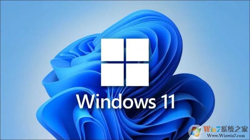 Win11家庭版和專業(yè)版有什么區(qū)別？Win11家庭版和專業(yè)版哪個(gè)好用？