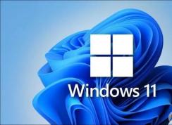 Win11家庭版和專業(yè)版有什么區(qū)別？Win11家庭版和專業(yè)版哪個(gè)好用？