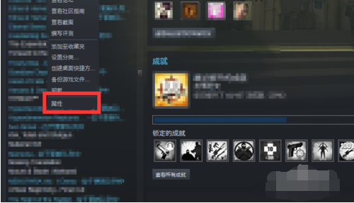 CSGO國(guó)際服啟動(dòng)軟件