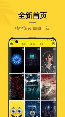 橙子4D動態(tài)壁紙
