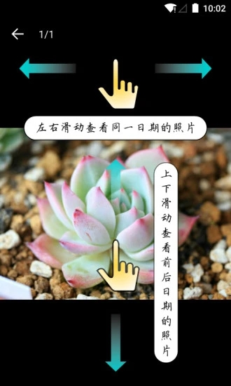 多肉成長(zhǎng)記安卓版下載