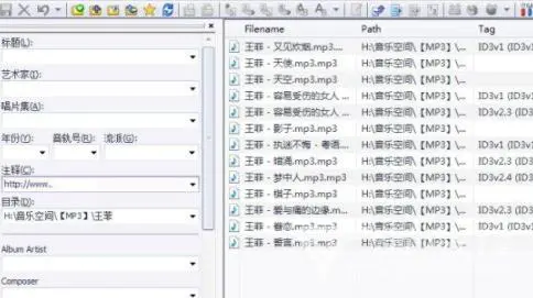 Mp3tag中文版音樂(lè)標(biāo)簽編輯器