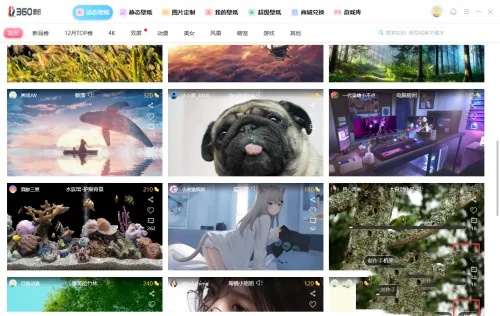 小鳥(niǎo)動(dòng)態(tài)壁紙官方正版