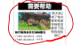 熊出沒的五夜后宮最新版