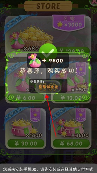 禮包購(gòu)買(mǎi)攻略4