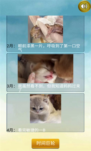 貓的一生重啟模擬器免費(fèi)版