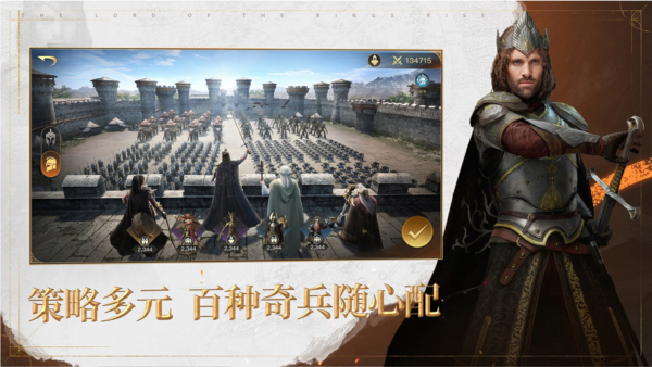 指環(huán)王紛爭(zhēng)官方版