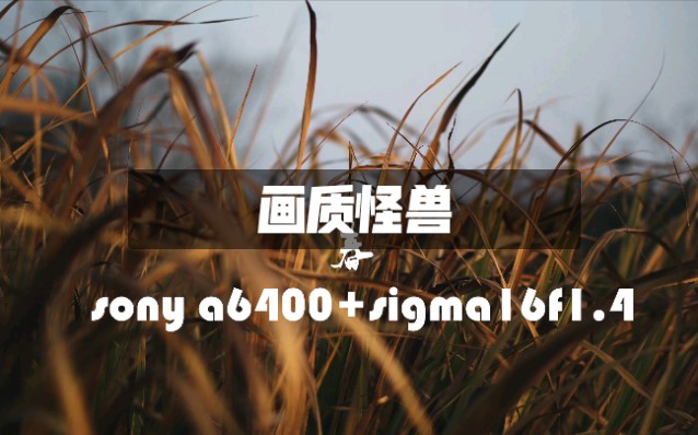 畫質怪獸各種版本大全-畫質怪獸全部版本集合-畫質怪獸軟件版本下載