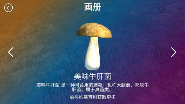 真實采集蘑菇模擬器安卓版