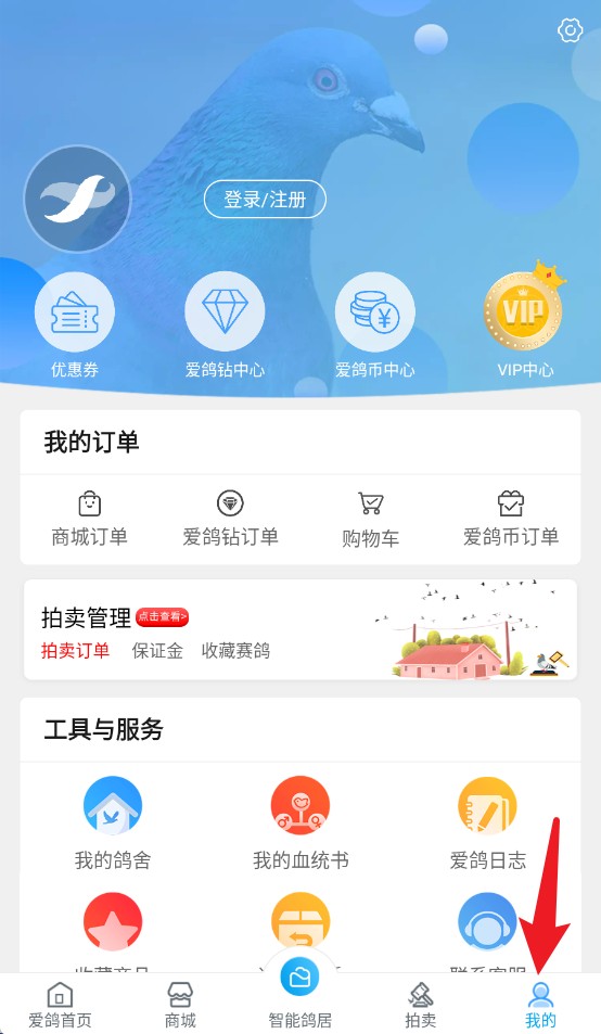 愛鴿者app手機版