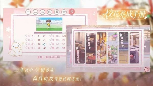 校花養(yǎng)成手冊游戲