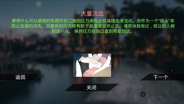 真實(shí)泊車2