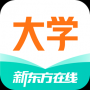 新東方大學(xué)考試