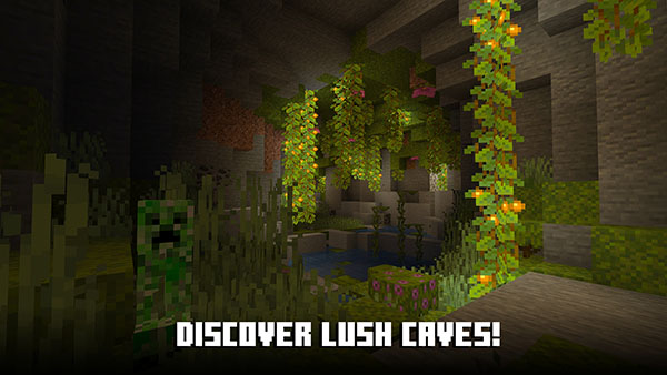 我的世界基巖版(Minecraft)